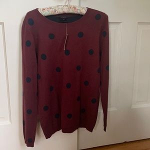 NWT Ann Taylor Sweater